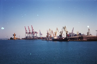 boats and cranes near sea during daytime