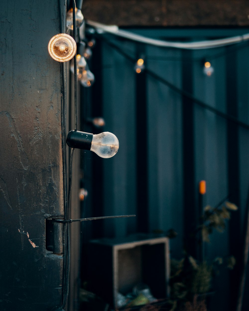 photo of two brown and clear light bulbs