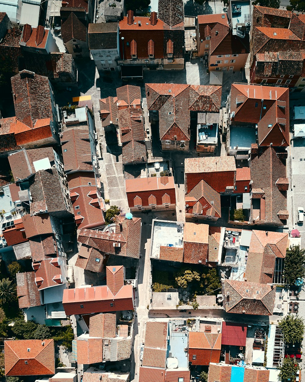 aerial photography of houses