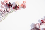 red petaled flower