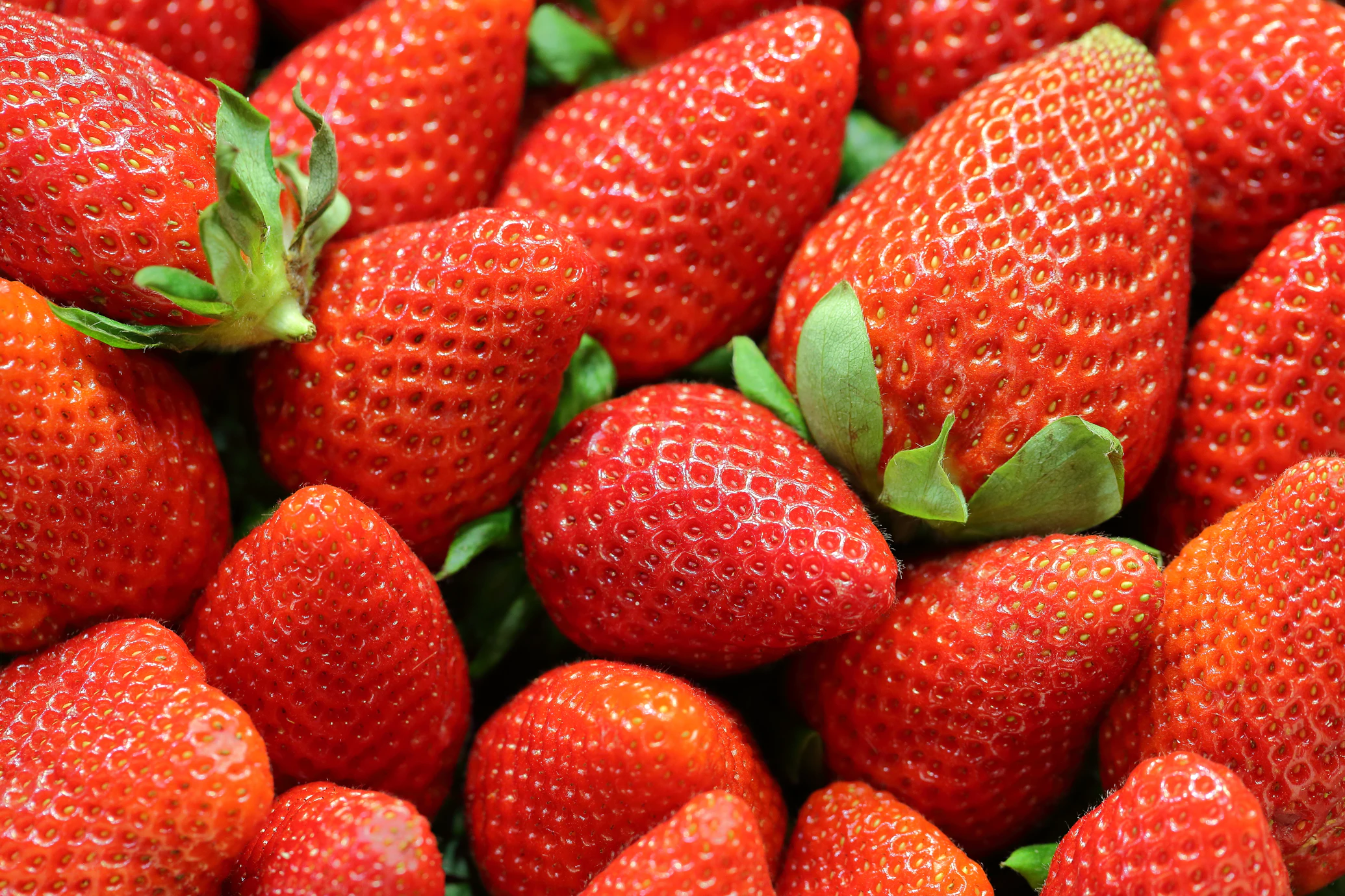 Premium Strawberries