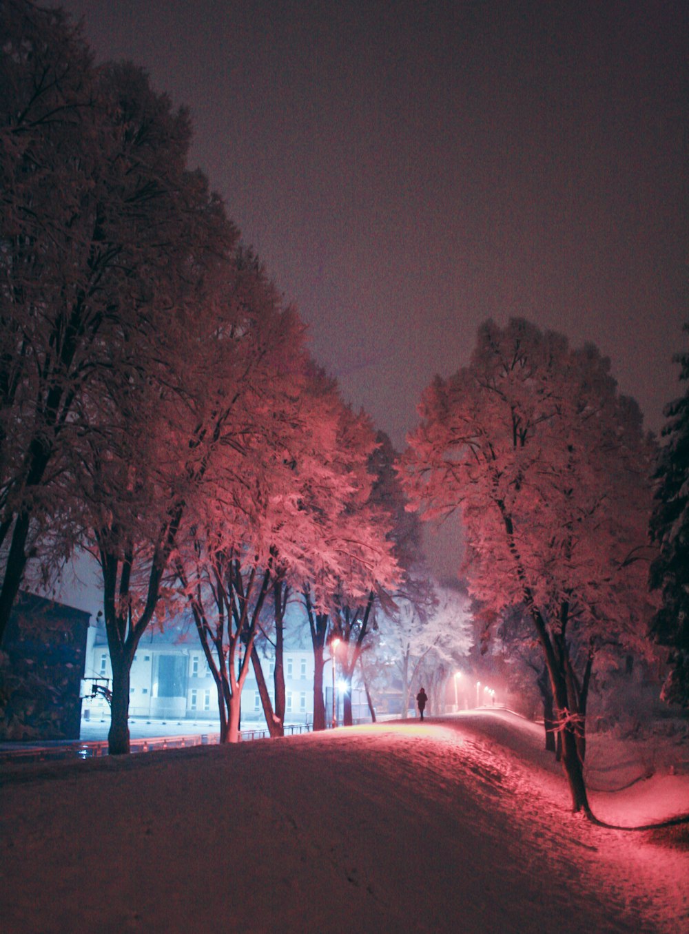 person walking on snow covered ground near trees and buildings