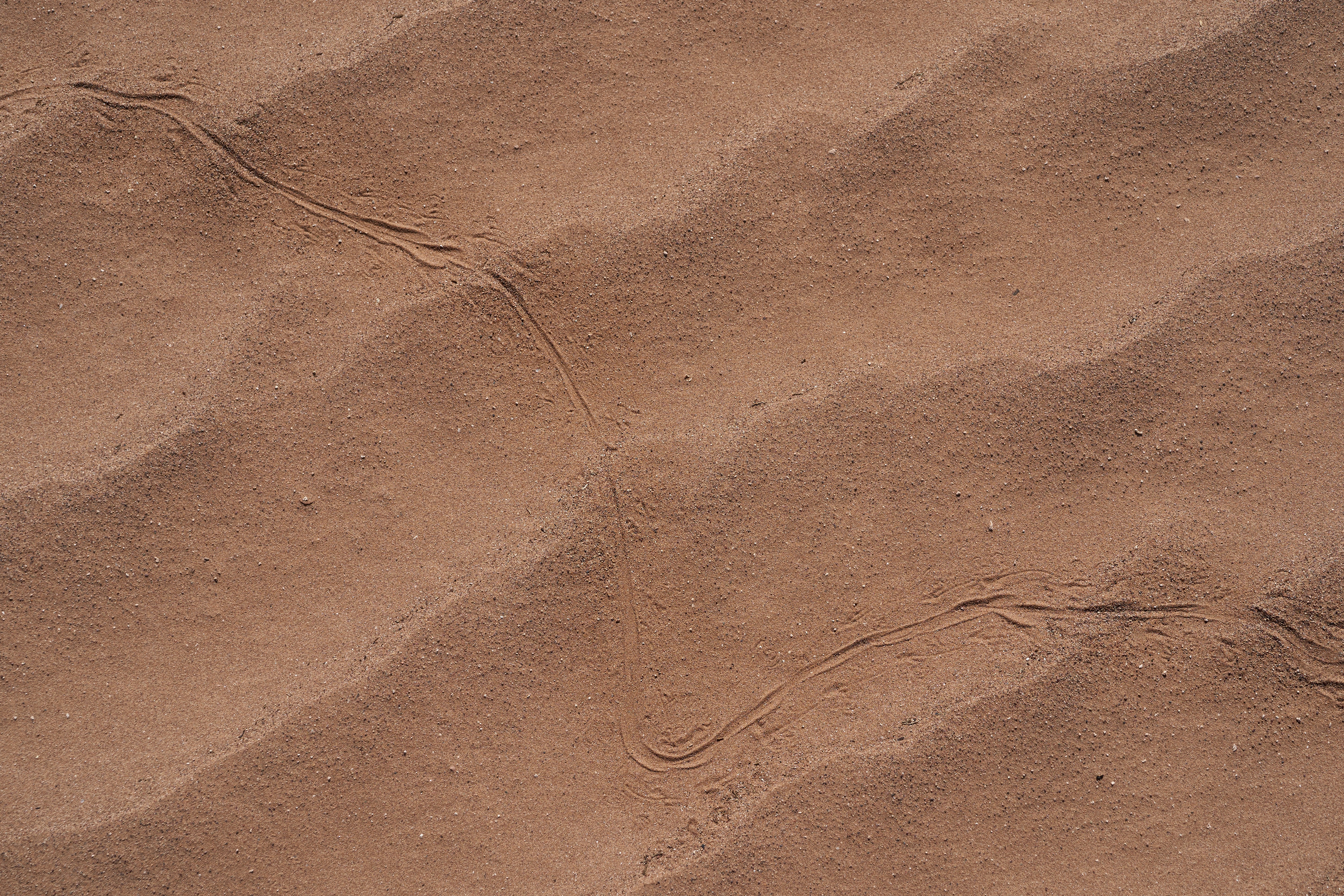 Brown and black area rug