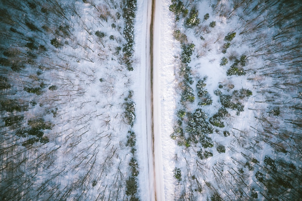 foto aérea na estrada coberta de neve entre árvores durante o dia