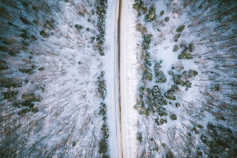 aerial photo on snow covered road in between trees during daytime