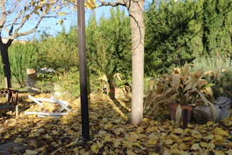A seasonal cleanup scene with neatly piled leaves and trimmed shrubs