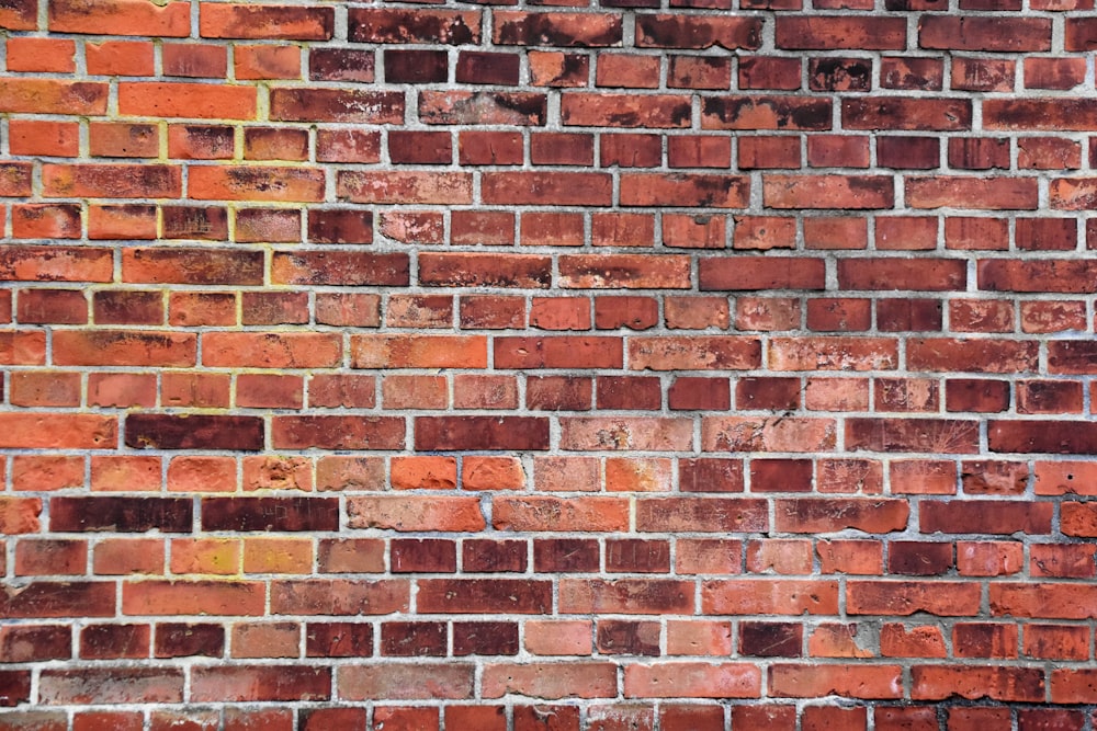 brown wall bricks