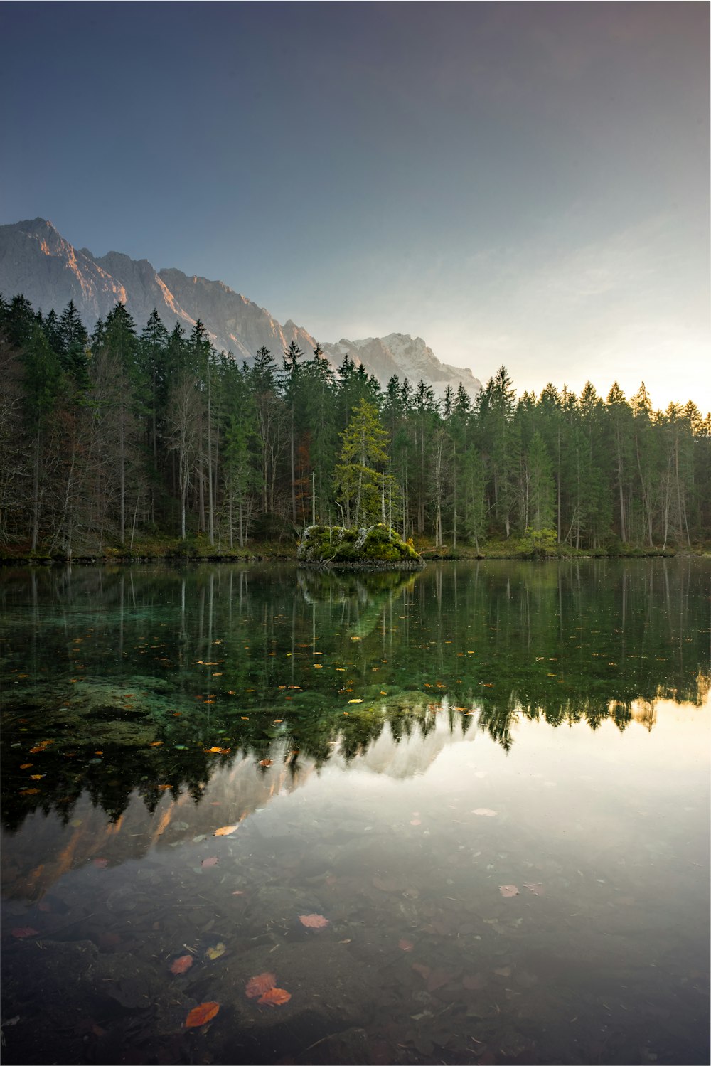 Árvores de folhas verdes perto da montanha