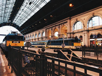 two black-and-yellow trains on train station
