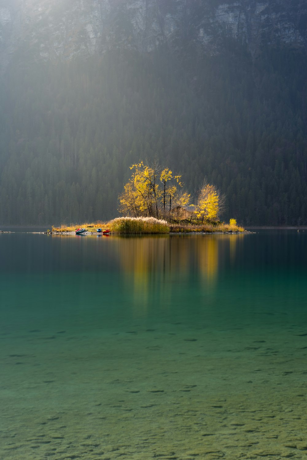 yellow tree on island