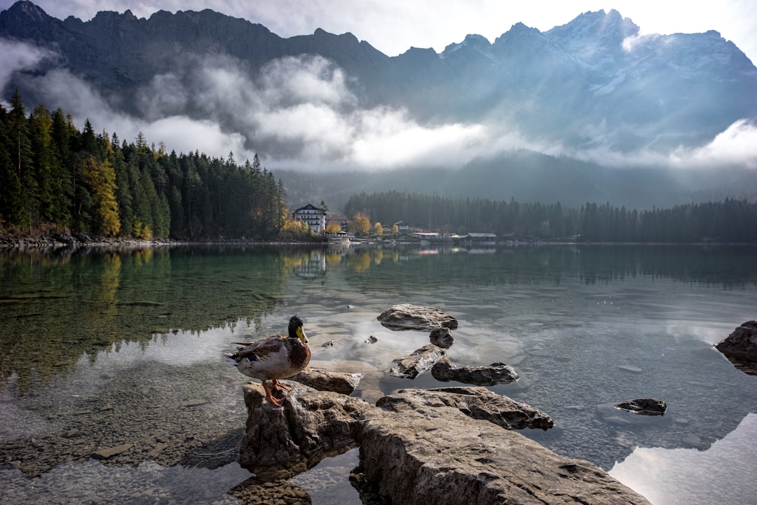 Travel Tips and Stories of Eibsee in Germany