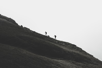 Silhouettes of two hikers and a dog walking up a steep, grassy hill under an overcast sky. The scene conveys a sense of adventure and challenge amidst a minimalist landscape.