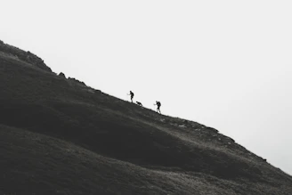 Illustration of four cards representing different hiking moods: beginner, meditative, moms-kids, and challenge.