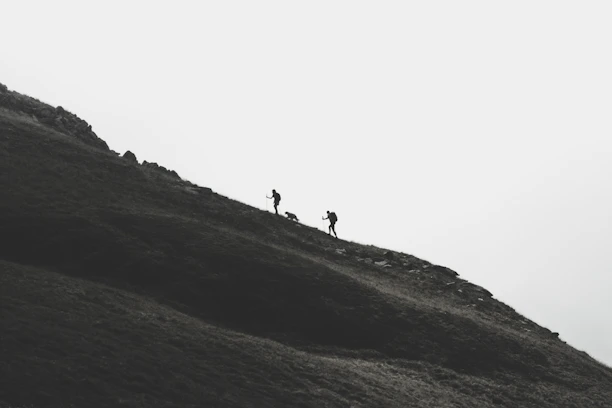 Illustration of four cards representing different hiking moods: beginner, meditative, moms-kids, and challenge.