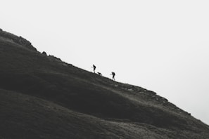 Silhouettes of two hikers and a dog walking up a steep, grassy hill under an overcast sky. The scene conveys a sense of adventure and challenge amidst a minimalist landscape.