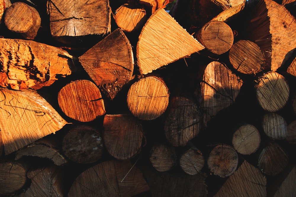 stack logs during sunset