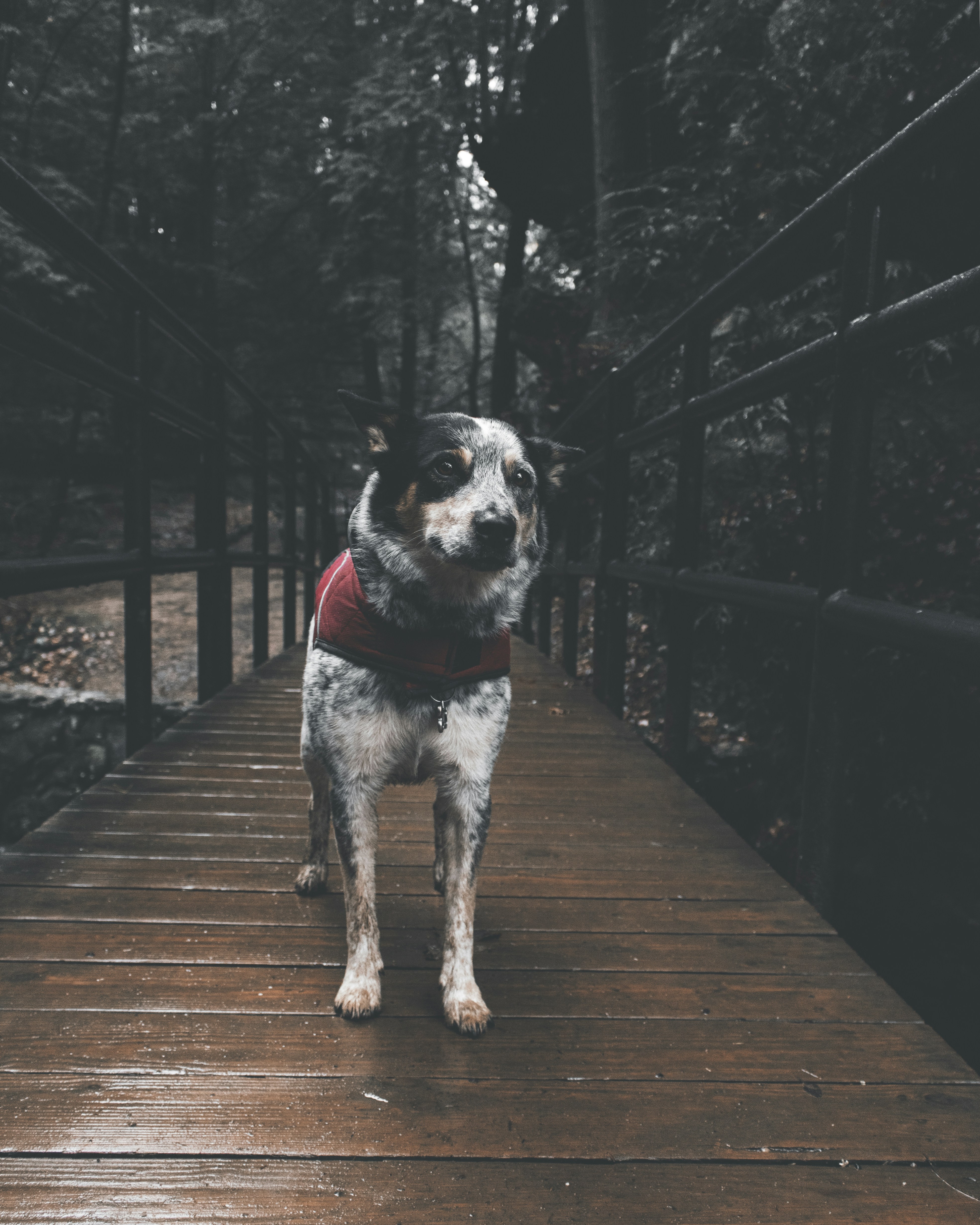 Photo by danny_lincoln