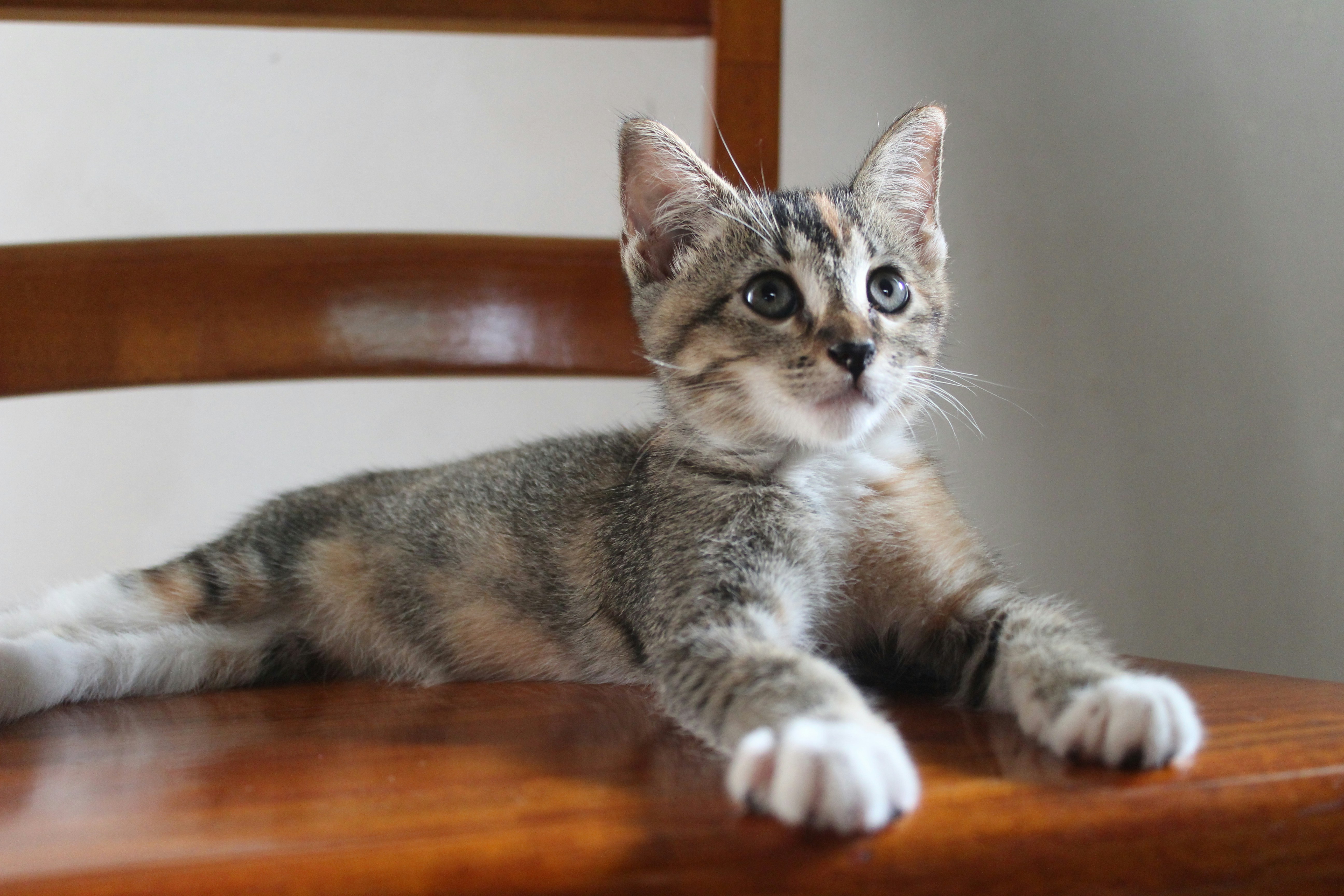 Photo by sandragabriel