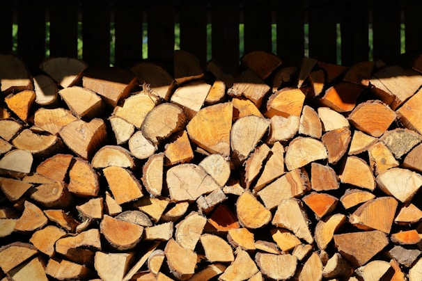 A large stack of neatly arranged firewood logs with visible tree rings, each piece showcasing different shades of brown and some with rough texture. The logs are set against a dark background, creating a contrast between light and shadow.