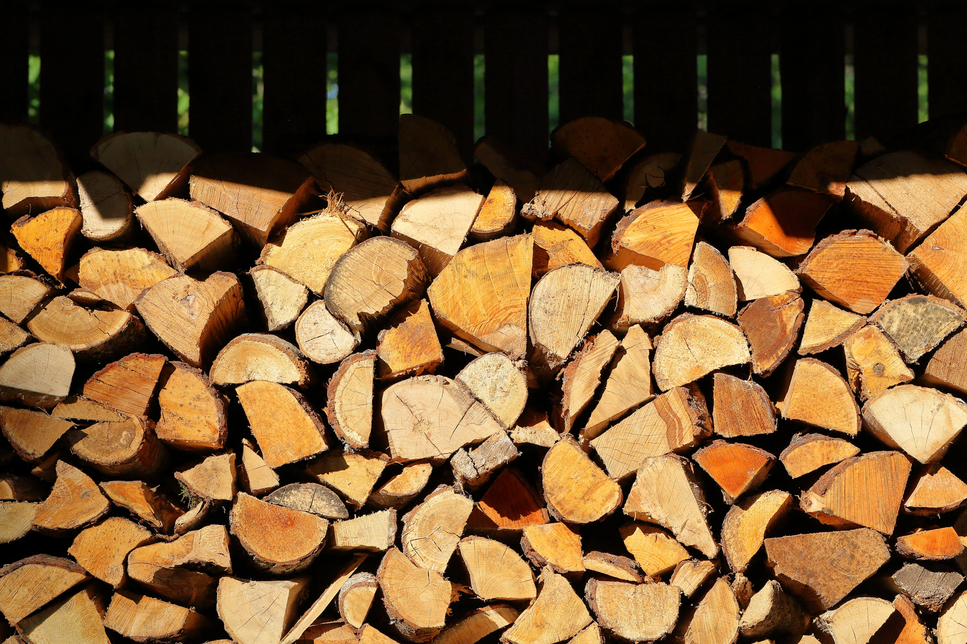 woman wearing yellow long-sleeved dress under white clouds and blue sky during daytime