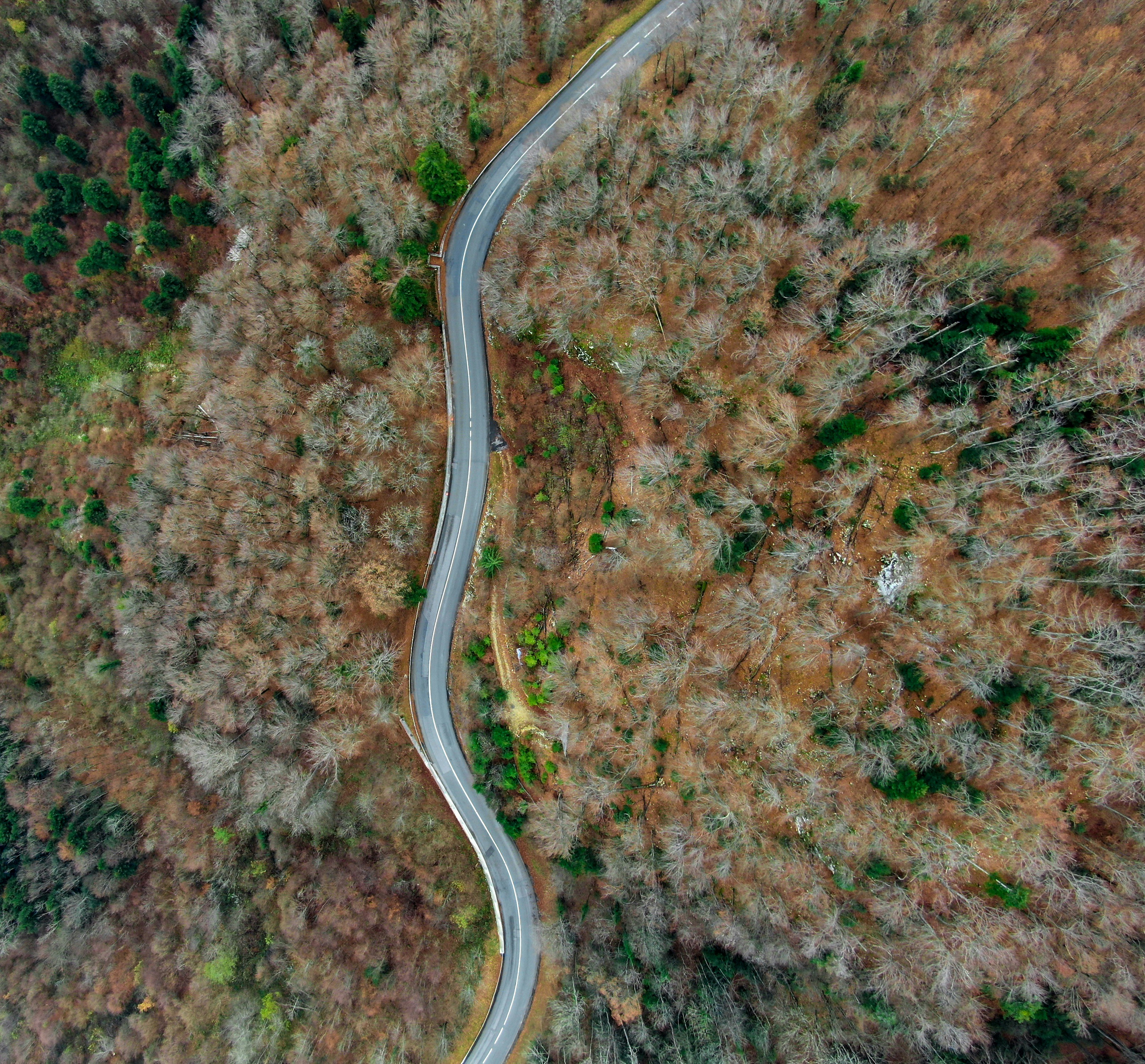 Photo by nathan030997