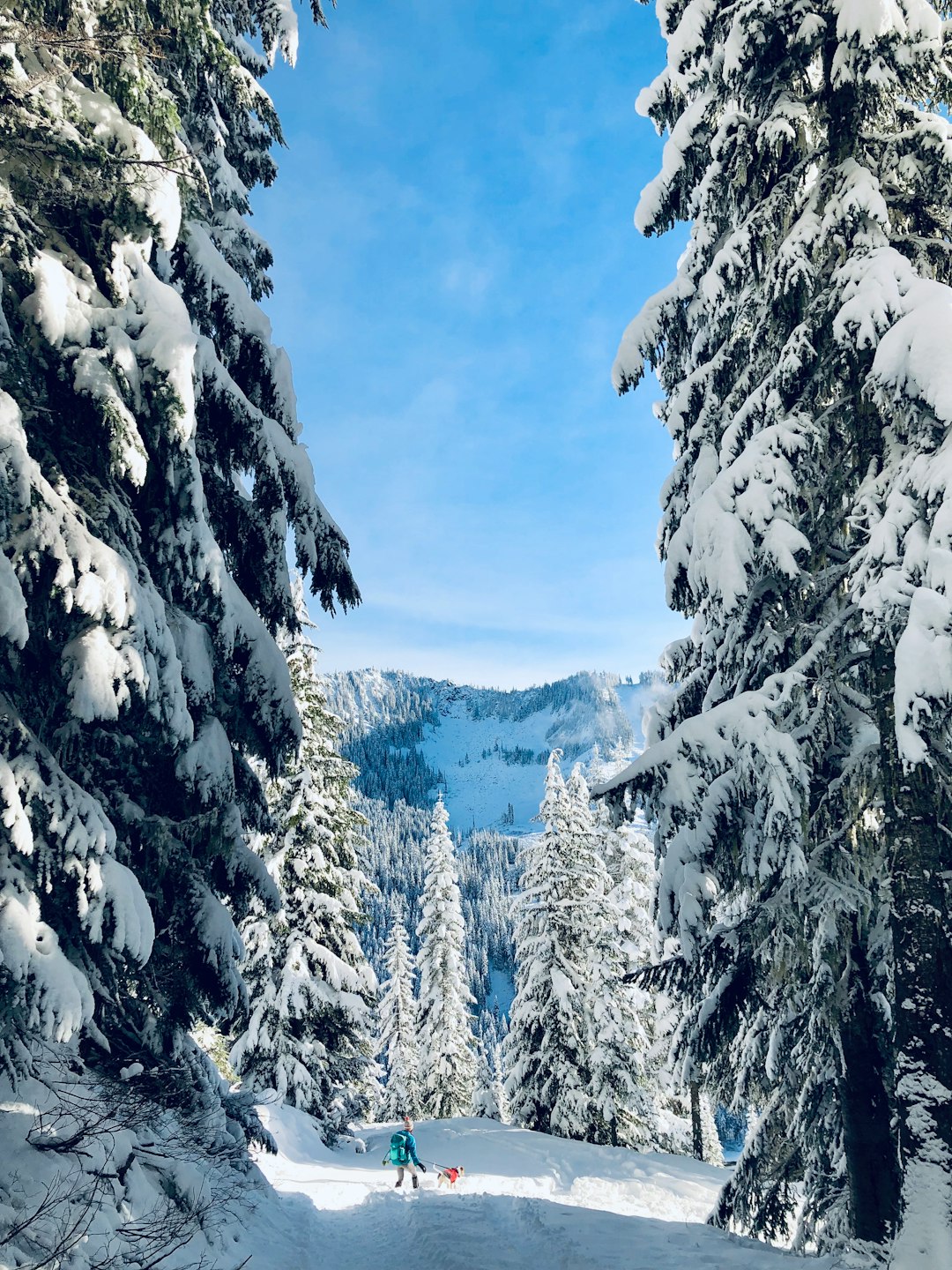 Mountain range photo spot Skyline Lake Trail Darrington