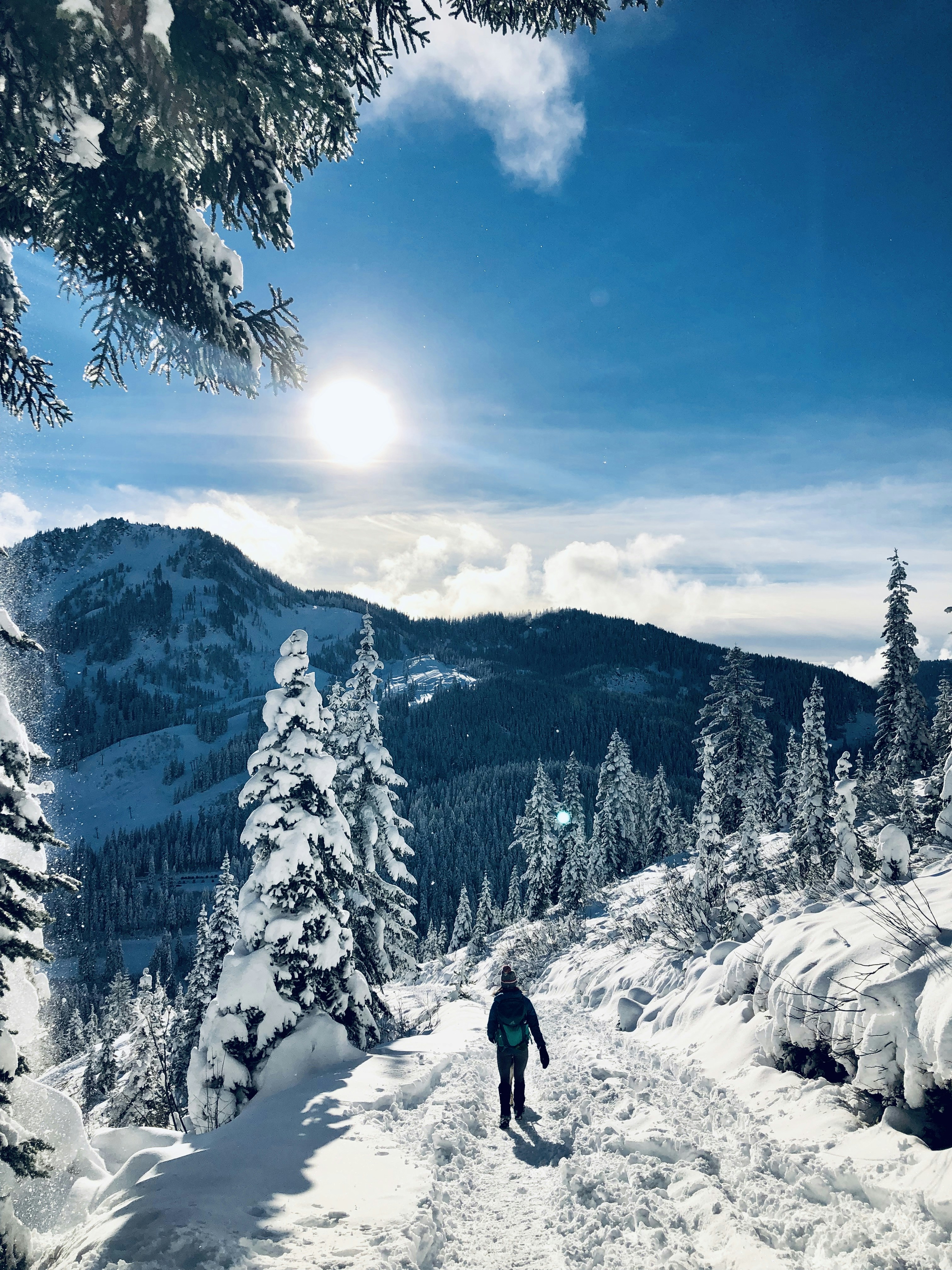 person walking on snow covered road near trees during dayrime