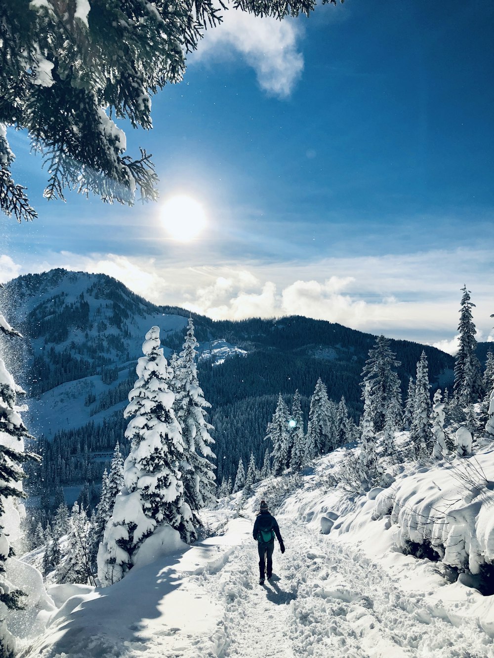 person walking on snow covered road near trees during dayrime