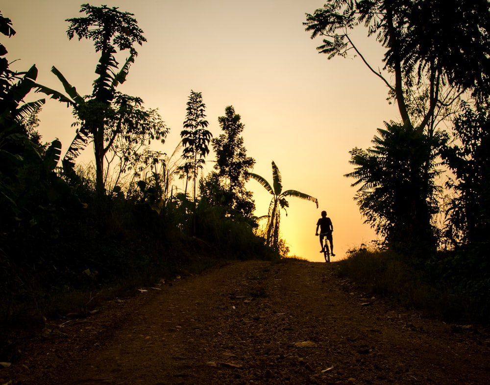 person cycling on rough road during golden hour