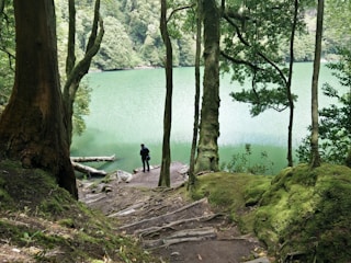 A serene scene of a person meditating by a calm lake surrounded by trees.