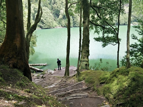 A serene scene of a person meditating by a calm lake surrounded by trees.