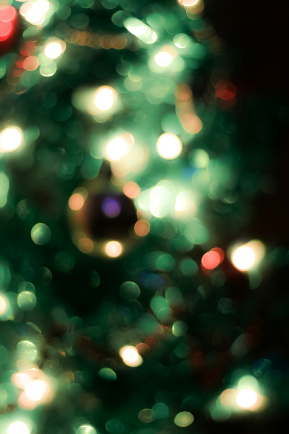 bokeh lights