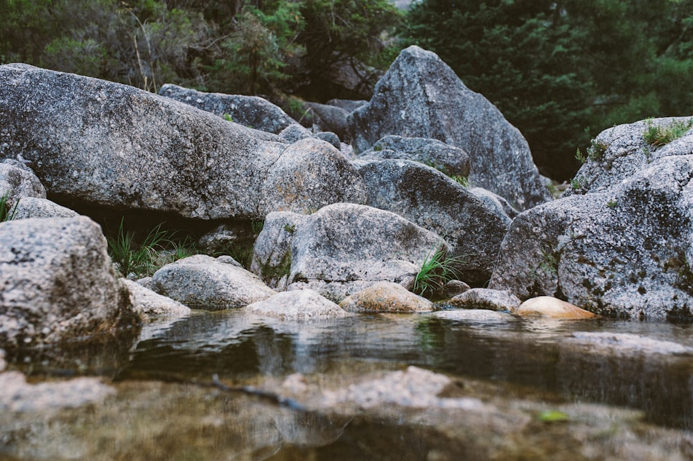gray stone beside body of water