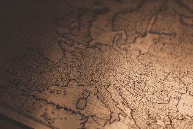 brown and black floral textile