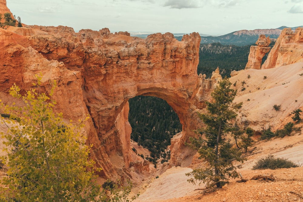 brown rock formation during daytime