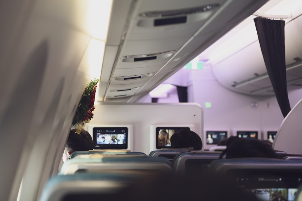 항공기 내부에 앉아있는 승객