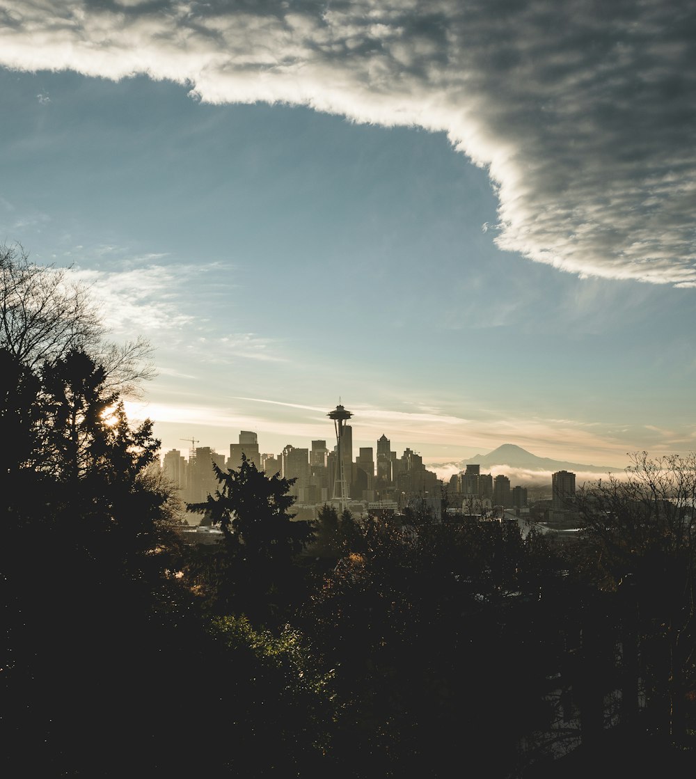 city buildings near forest and mountain under cloudy sky