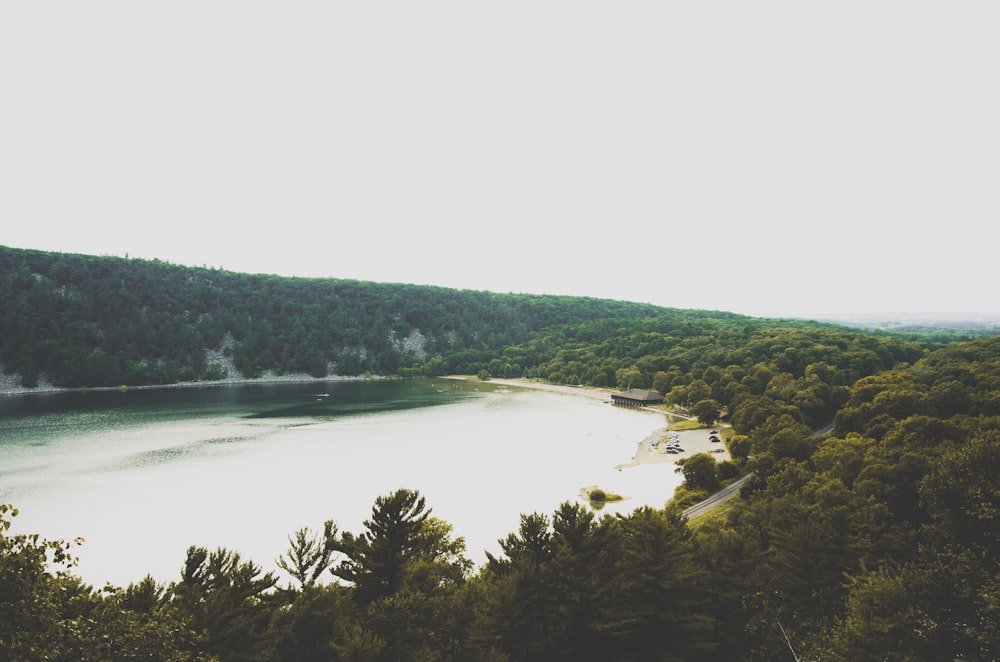 body of water surround by trees