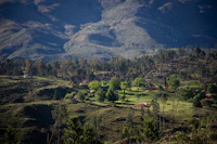 Best Casual Dinner Spots in Kausani for a No-Fuss Evening Out