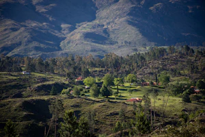 Kausani