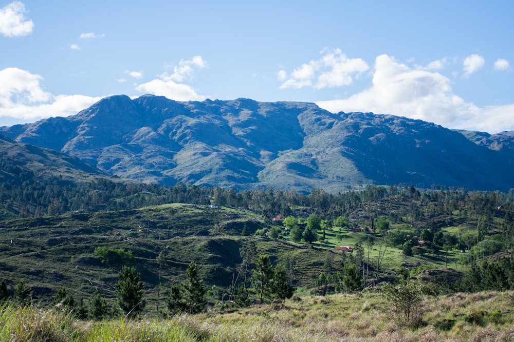 green trees and field cover mountains during daytime