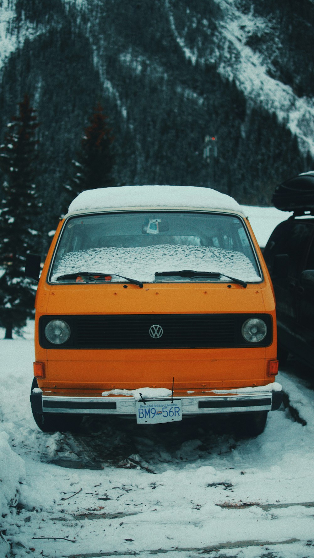 orange Volkswagen vehicle