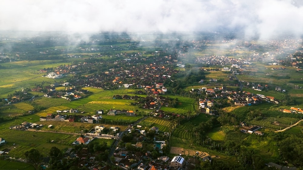 aerial view of trees and houses