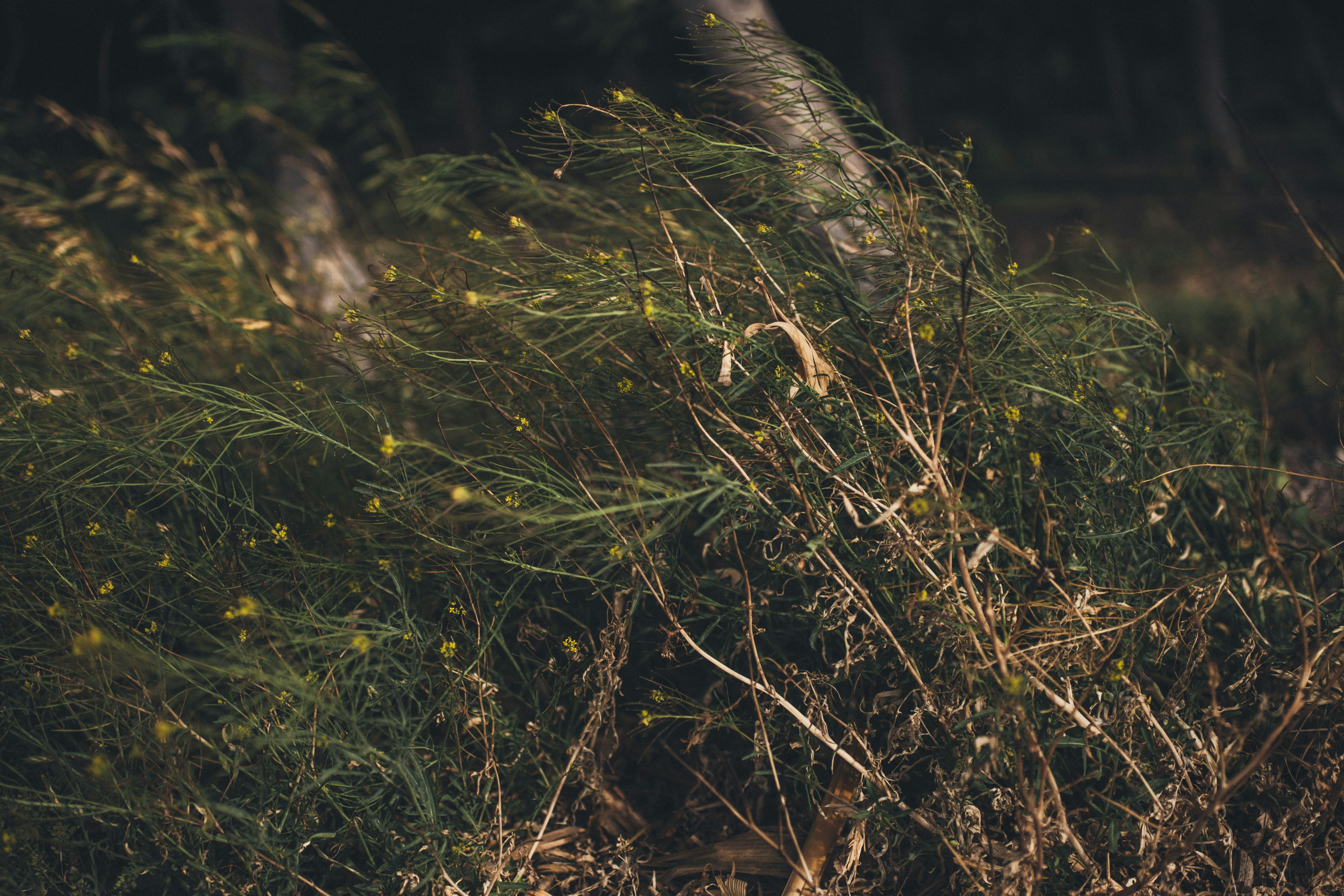 Photo by natureuninterrupted1