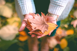 A helping hand holding another gently amid autumn leaves symbolizing care and support.