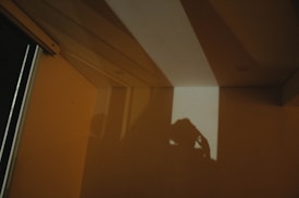 A shadow is cast on a wall in a dimly lit room, creating geometric patterns from the interaction of light and architecture. The shadow appears to be of a person holding a camera, adding an element of mystery to the scene.