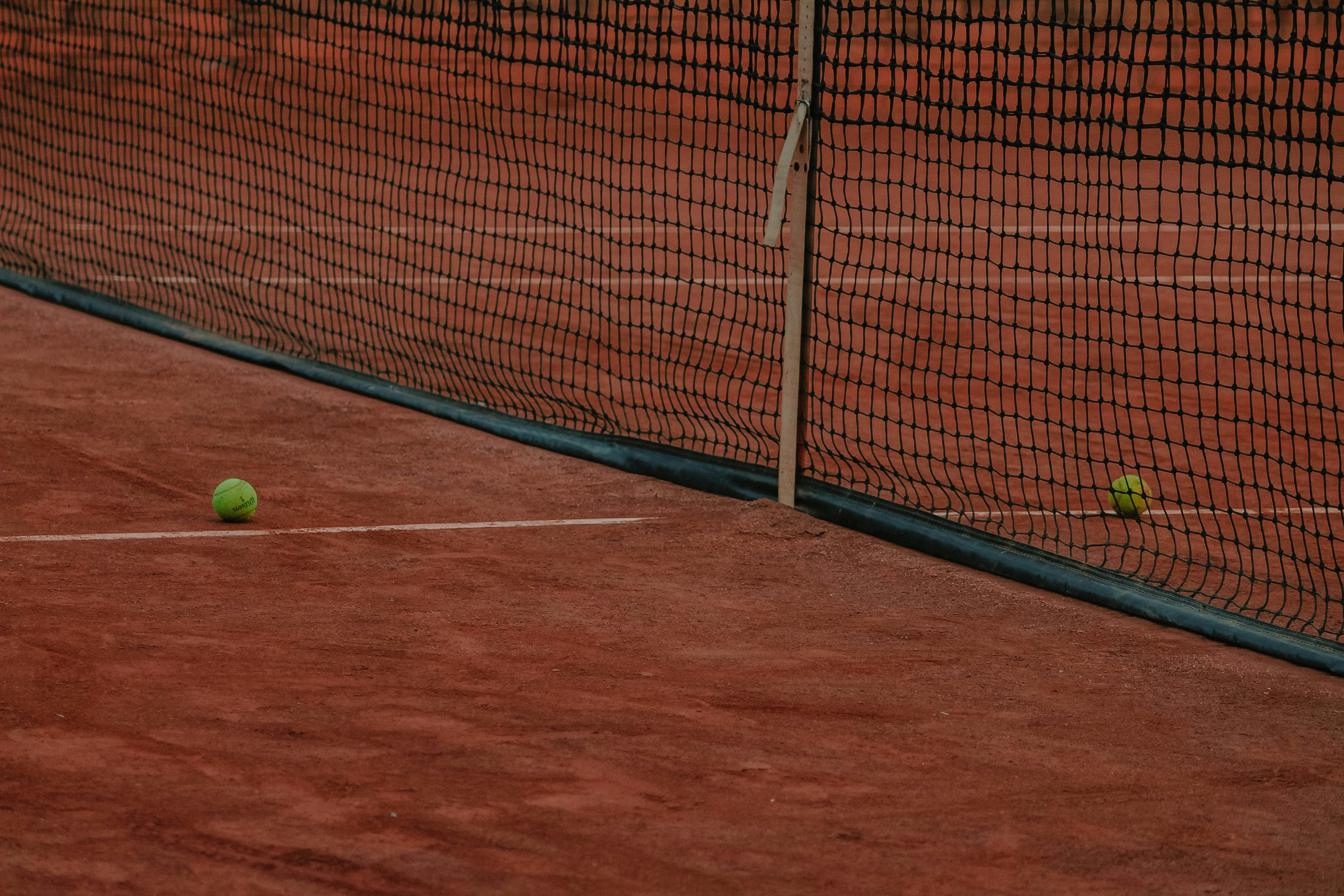 baseball in net goal
