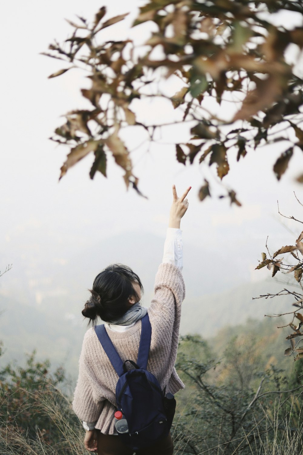 woman raising right hand with peace sign facing mountain