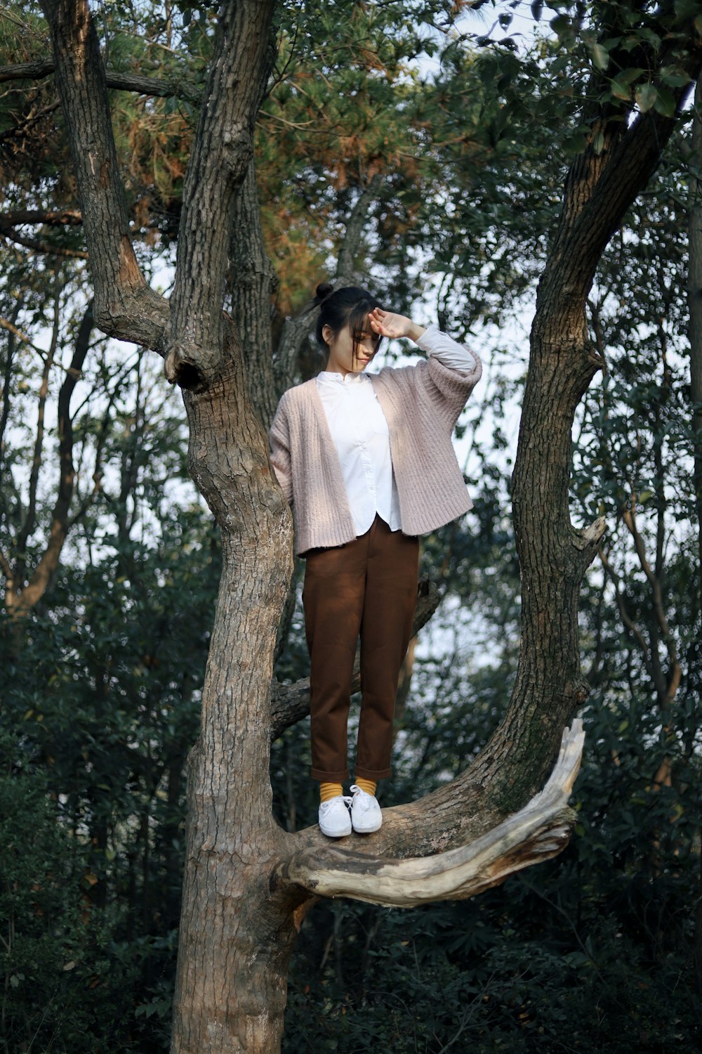 woman in gray and white shirt standing on top of tree