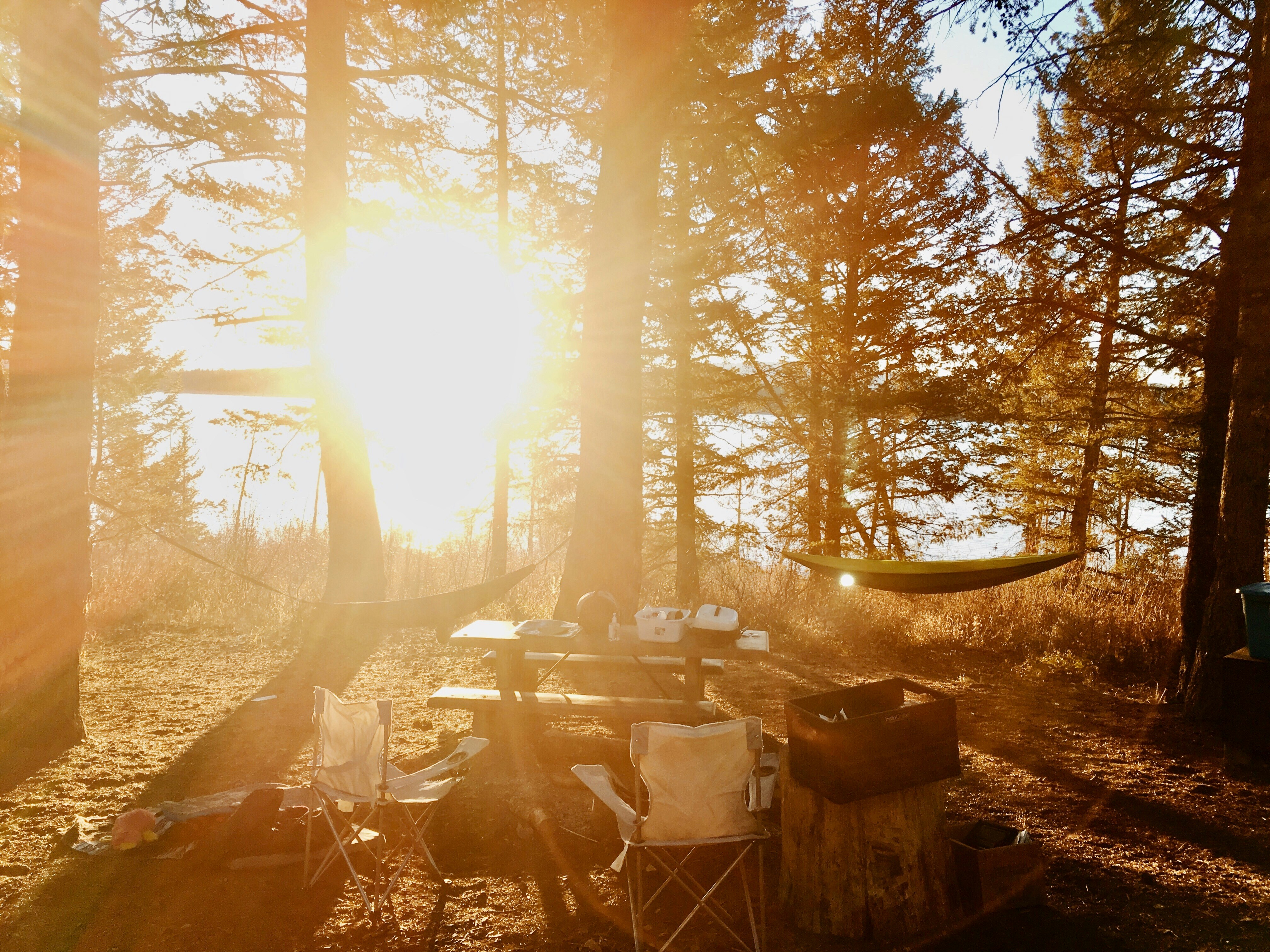 Forest sunrise camping, ilustrasi artikel Brew Bliss: Top Compact Coffee Makers for Early Morning Campers 7